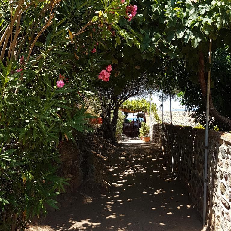 Villa Molivos Views Mithimna Bagian luar foto
